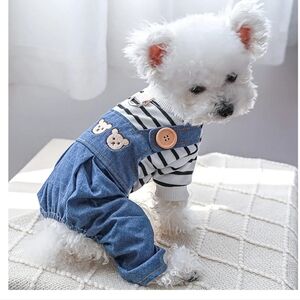Extra Small dog clothes